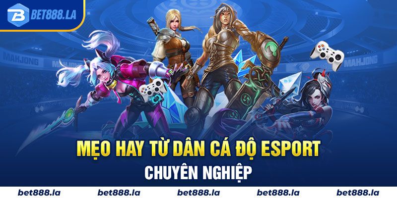 Mẹo hay từ dân cá độ Esport chuyên nghiệp