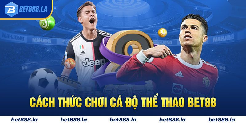 Cách thức chơi cá độ thể thao Bet88