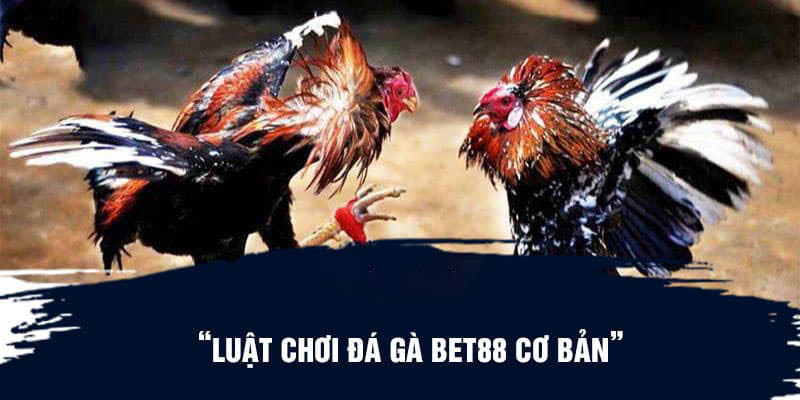 Luật chơi đá gà Bet88 cơ bản