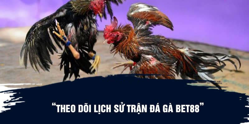 Theo dõi lịch sử trận đá gà Bet88