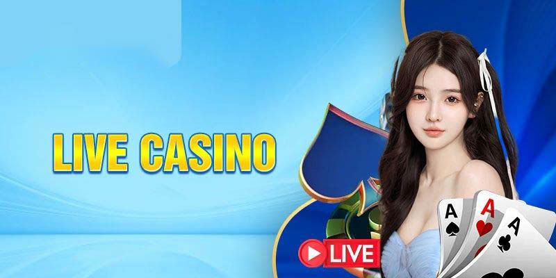 Giới thiệu khái quát về Casino Bet88